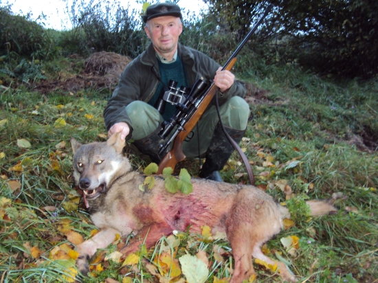 Išli sme na jeleňa a padol vlk