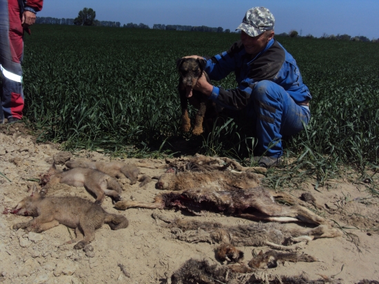 Výborná práca jagoša