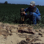 Výborná práca jagoša