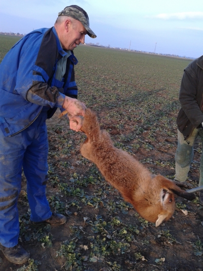 Ochrana pre drobnú zver