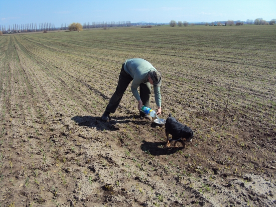 Hlavný účastník dnešnej norovačky
