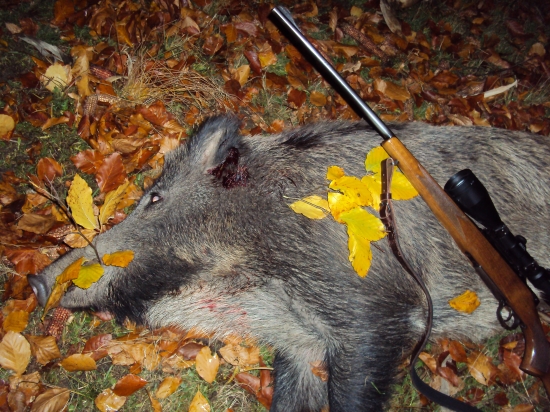 úspešná polovačka v krásnych horách