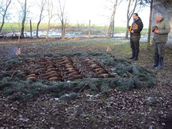 Výrad skromný ale polovačka dobrá