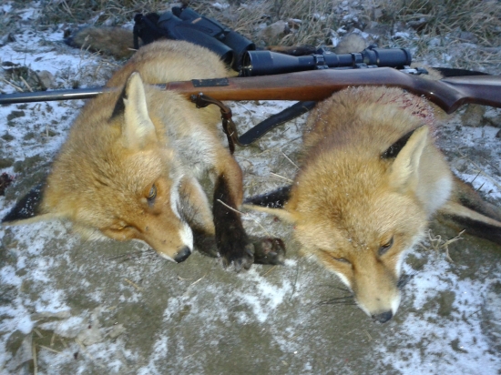 Konečne trošku snehu