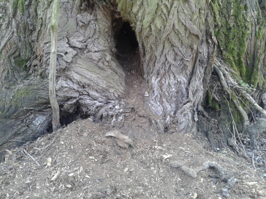 Líščia nora ako z rozprávky