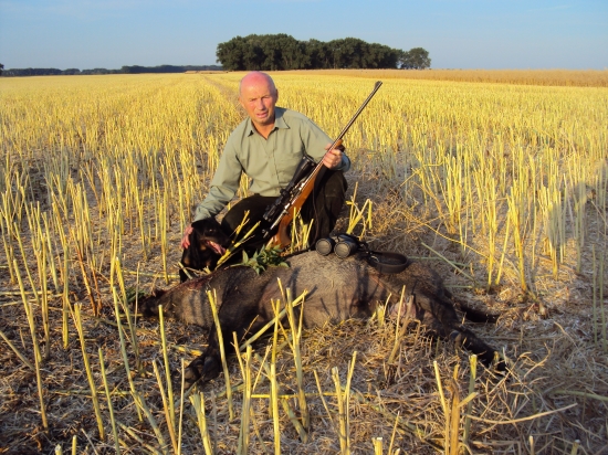 pekné nedelné ráno