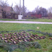 Spoločná na drobnú