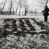 Posledná spol. na bažanty