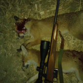 Ďalšie dve zo strniska