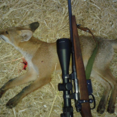 Ešte jedna zo strniska