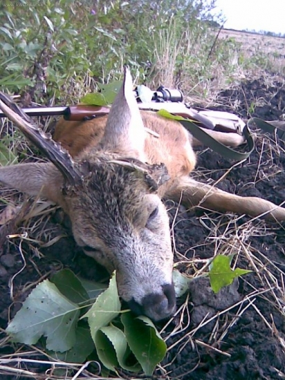 Prenho uz ruja skoncila.