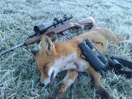 Pekné mrazivé ráno