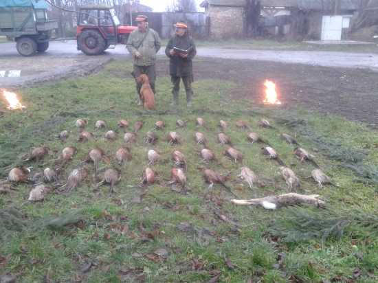 Spoločná na drobnú