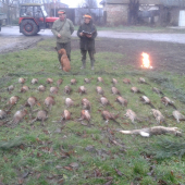 Spoločná na drobnú