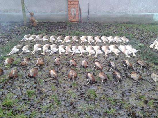 Posledná spol. v tomto roku