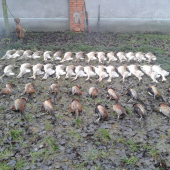 Posledná spol. v tomto roku