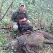 Prvý strelený diviak, hned po dohladávke