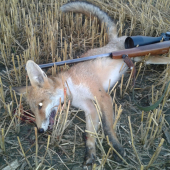 Sem-tam sa niaká ukáže od susedov
