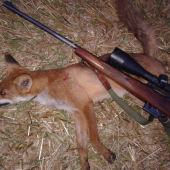 ani stará si nedávala pozor