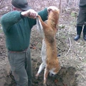 norovanie,dnešná prvá