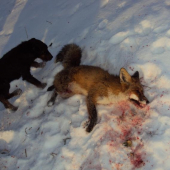 Dalšia kmotra prehrala