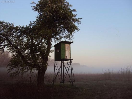 Premňa bol dobrý aj ten strom.