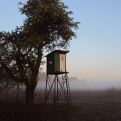 Premňa bol dobrý aj ten strom.