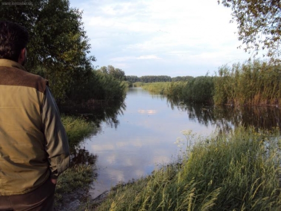 Aj hospodár len smutne a bezmocne pozerá,asi kolko bažantov