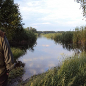 Aj hospodár len smutne a bezmocne pozerá,asi kolko bažantov