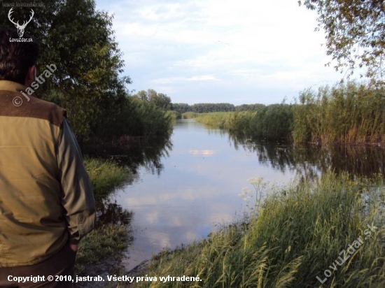 Aj hospodár len smutne a bezmocne pozerá,asi kolko bažantov