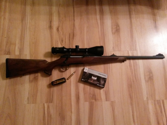 Sauer 101 kal.: 30-06 Spr.