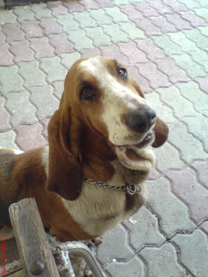 spomienka na lyndu+23.03.2009uz len na fotke