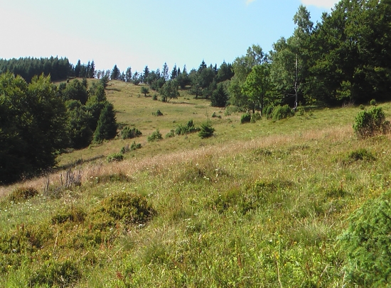 čergov