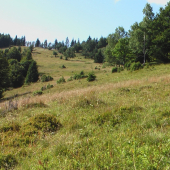 čergov