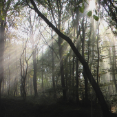 ako zivot prenikli tie luce