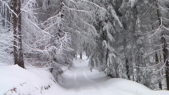zima je aj krasna ale aj neuprosna