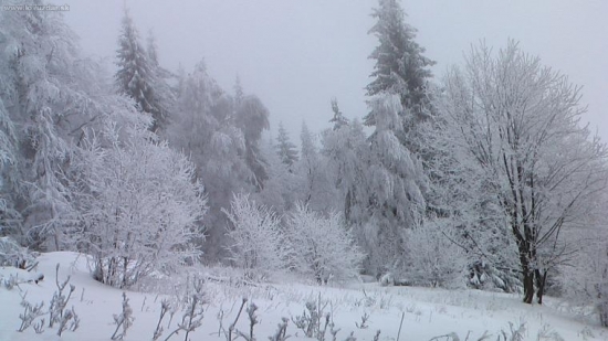 hmla a mraz robi svoje