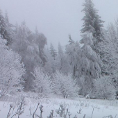 hmla a mraz robi svoje