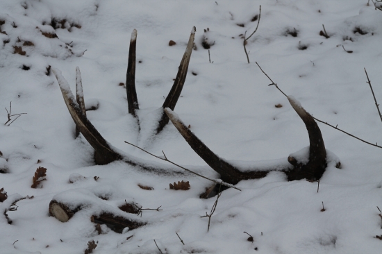 Ukažkovo zhodená para.