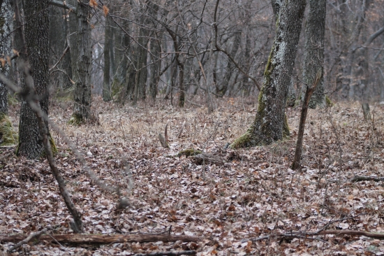 Zdialky-krásny pohlad pre očka.