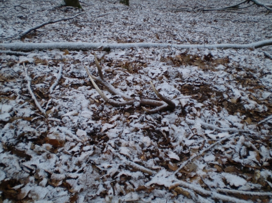 Snežný 10-toračik