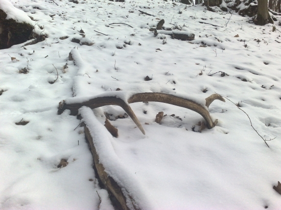 10-toračik rok si tam poležal