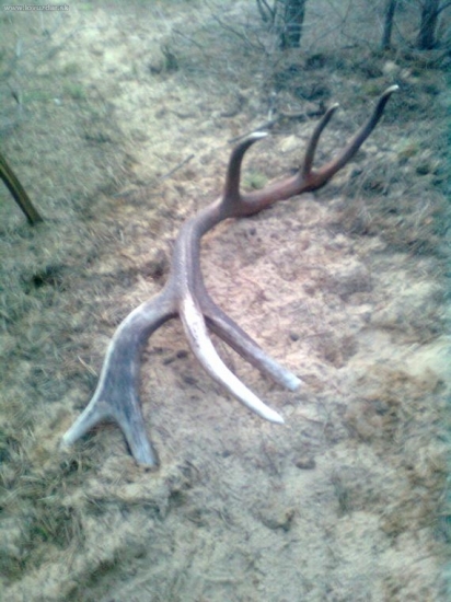 dnesny,dohladany parnik zo vcera