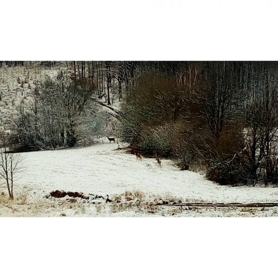 Vysoká