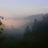 čas na jelenie piesne