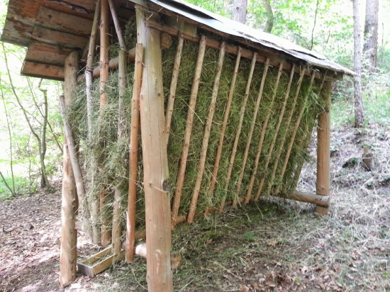 Najlepšie odmeňovaná práca na svete