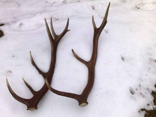 Konečne sa zadarilo.