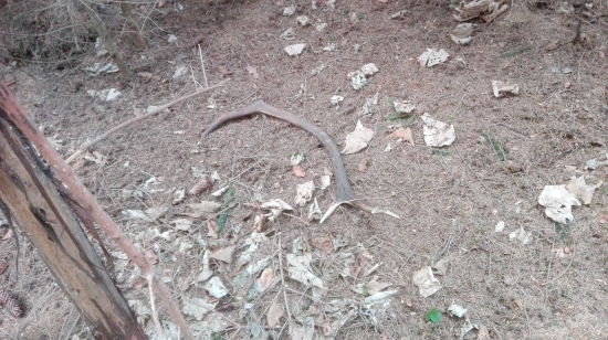 c.2 para k klinpa :-)