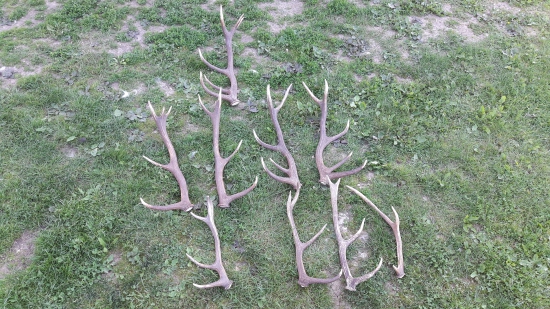 Sezona 2017. Nic moc, ale potesi 