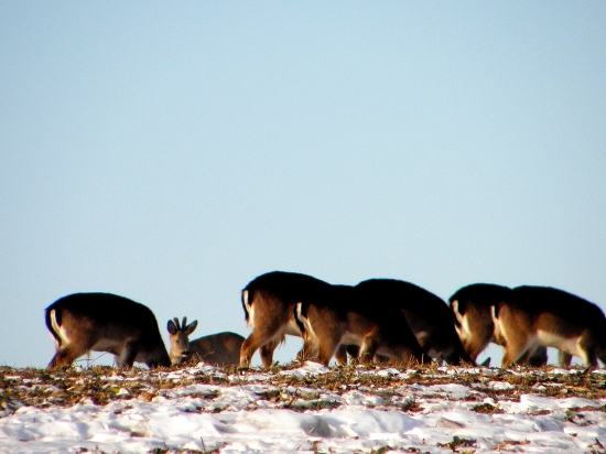 Kto nájde čo tu nepatrí ? :)